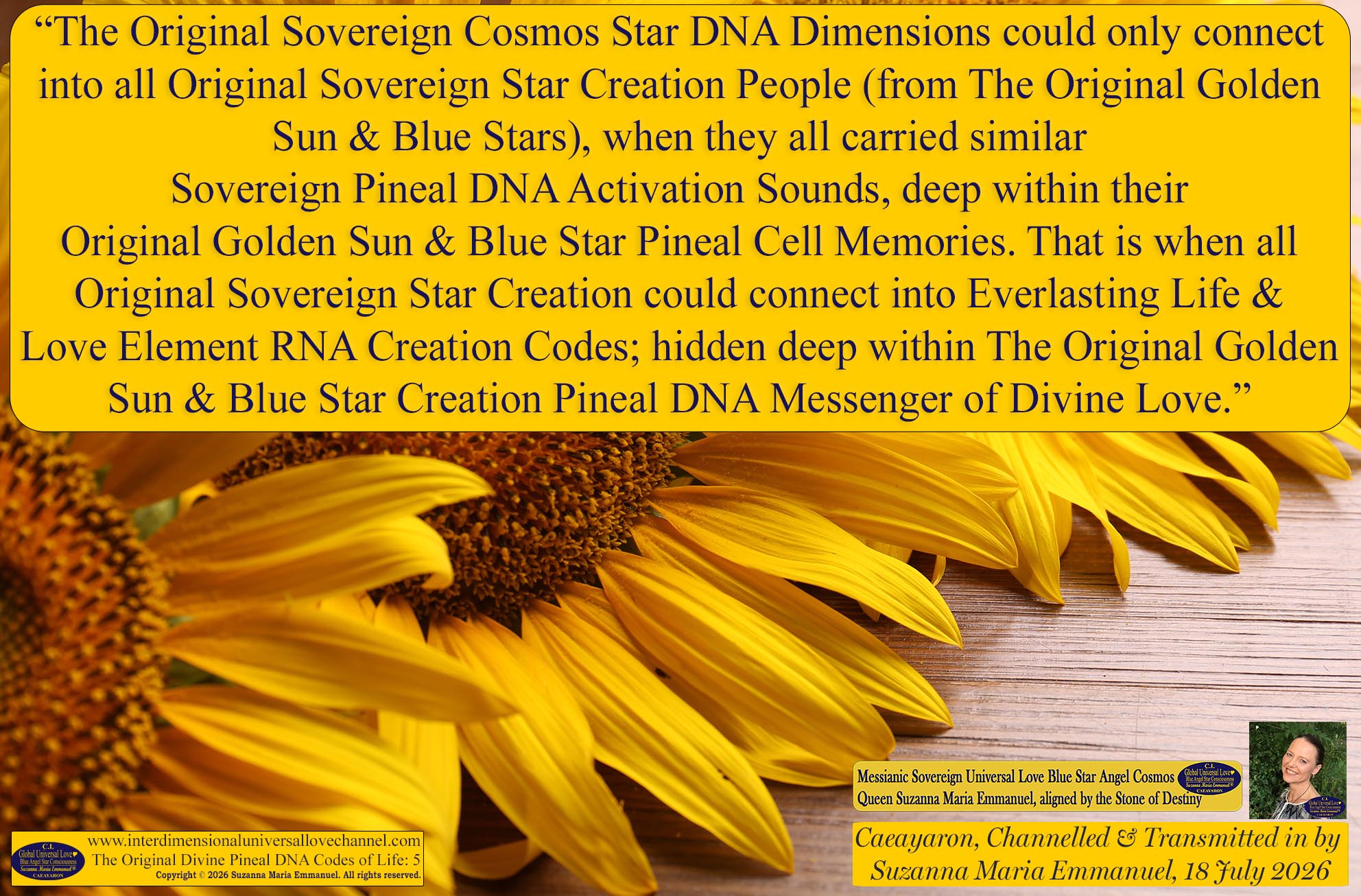 Universal Love Expressions of Divine  Wisdom