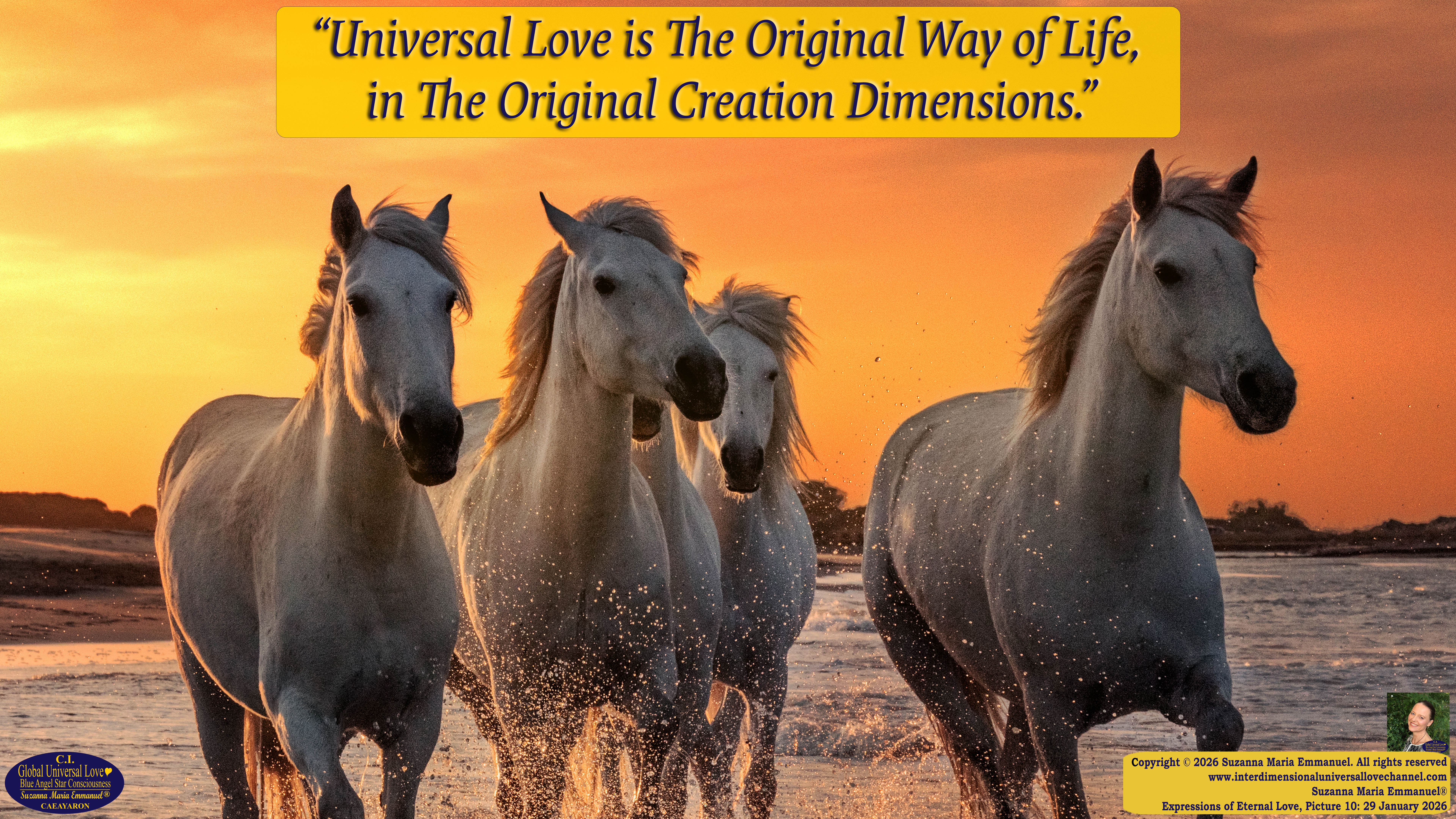 By Suzanna Maria Emmanuel:  "When all Original Sovereign Golden Sun People worked together within The Original Love of The Great Universe, in Divine Love, they all wanted life to begin so much from their own and Original Golden Soul-Sun Activated Hearts, in The Original Golden Soul-Sun Consciousness Dimensions of Love, together as One Field of Energy.  When The Original Sovereign Universal Love, Light and Life Grid Programmer, C.Q. Laeayaraesea, knew all their Greatest Golden Heart Desires from their Original Hearts for Life to exist on their Original Blue Star Planets, in The Love, that is when she could begin to ask CAEAYARON, THE ORIGINAL SOVEREIGN MAGNETIC MASTER, to designate Magnetic Fields for all the Original People to exist in The Love, on The Original Blue Star Planets, within all their Original Golden Soul-Sun Pineal Activated Desires of Love, Life, and their Highest Truth to come in, forever." 