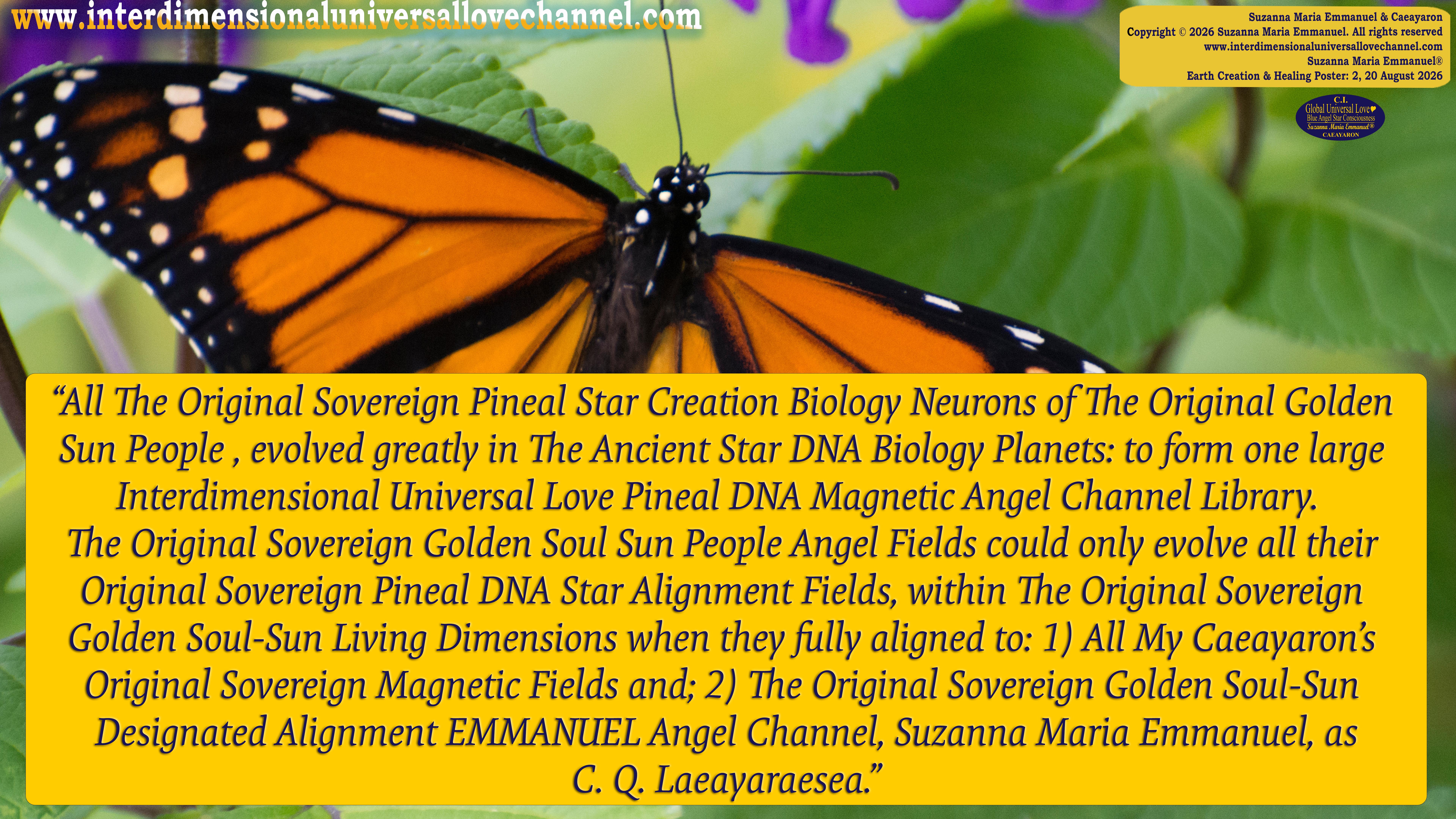 Universal Love Expressions of Divine  Wisdom