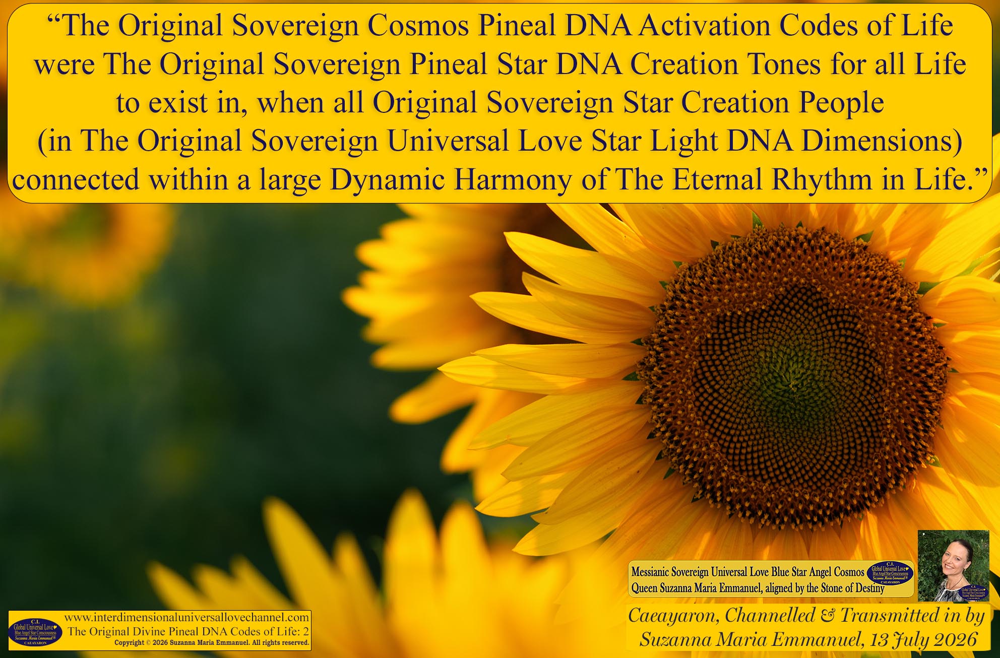 Universal Love Expressions of Divine  Wisdom