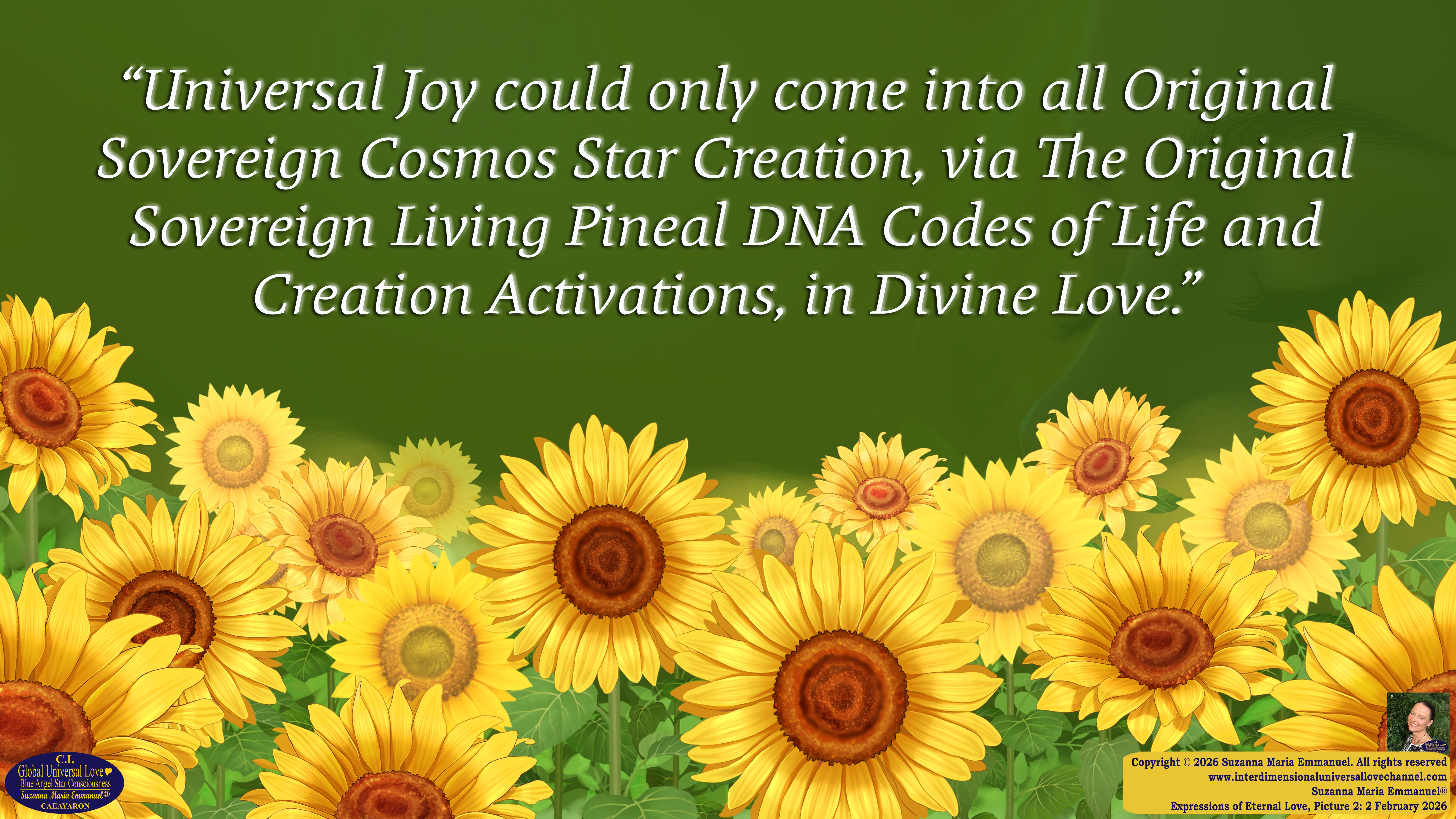 By Suzanna Maria Emmanuel:  "When all Original Sovereign Golden Sun People worked together within The Original Love of The Great Universe, in Divine Love, they all wanted life to begin so much from their own and Original Golden Soul-Sun Activated Hearts, in The Original Golden Soul-Sun Consciousness Dimensions of Love, together as One Field of Energy.  When The Original Sovereign Universal Love, Light and Life Grid Programmer, C.Q. Laeayaraesea, knew all their Greatest Golden Heart Desires from their Original Hearts for Life to exist on their Original Blue Star Planets, in The Love, that is when she could begin to ask CAEAYARON, THE ORIGINAL SOVEREIGN MAGNETIC MASTER, to designate Magnetic Fields for all the Original People to exist in The Love, on The Original Blue Star Planets, within all their Original Golden Soul-Sun Pineal Activated Desires of Love, Life, and their Highest Truth to come in, forever." 