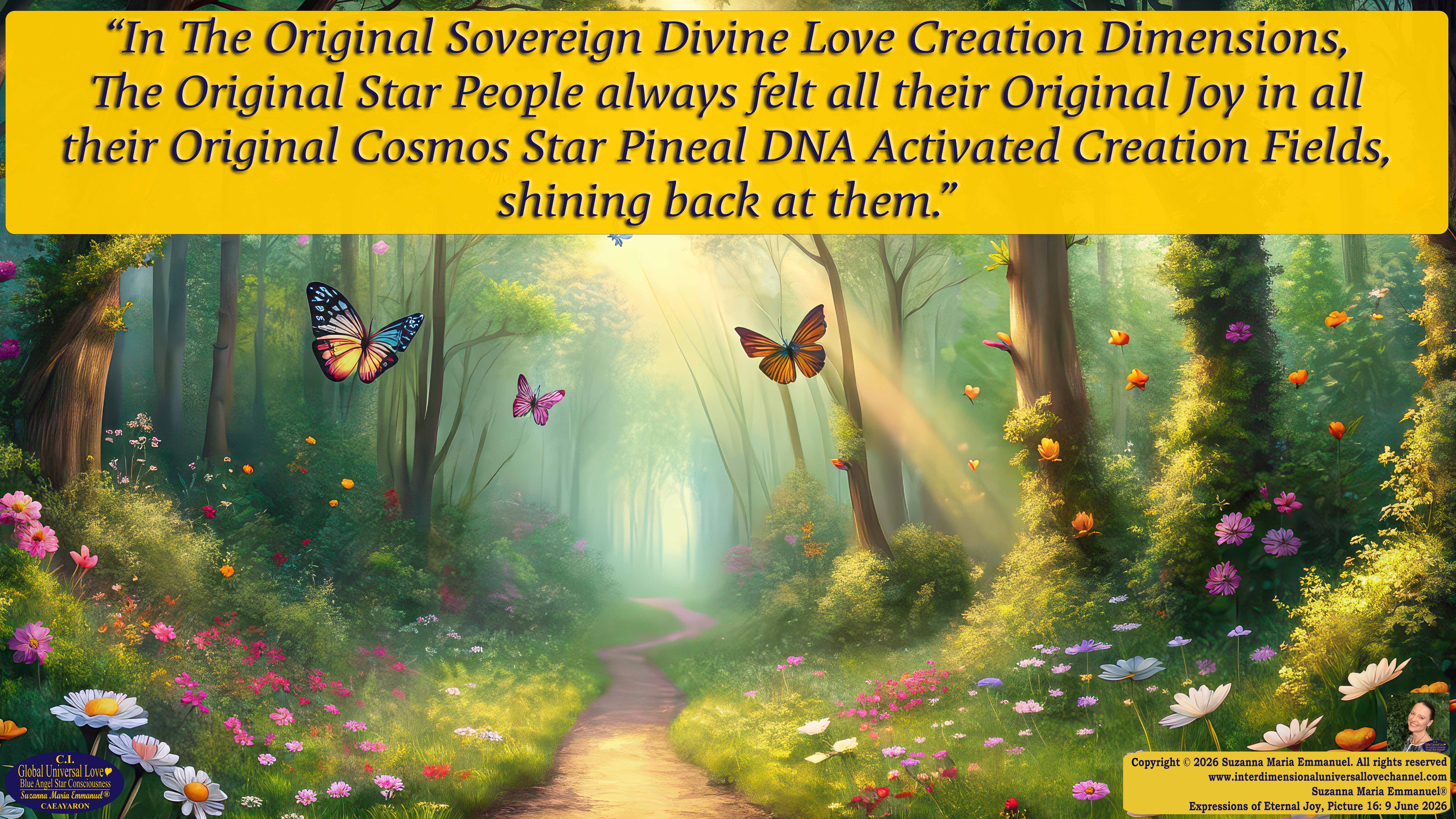 By Suzanna Maria Emmanuel:  "When all Original Sovereign Golden Sun People worked together within The Original Love of The Great Universe, in Divine Love, they all wanted life to begin so much from their own and Original Golden Soul-Sun Activated Hearts, in The Original Golden Soul-Sun Consciousness Dimensions of Love, together as One Field of Energy.  When The Original Sovereign Universal Love, Light and Life Grid Programmer, C.Q. Laeayaraesea, knew all their Greatest Golden Heart Desires from their Original Hearts for Life to exist on their Original Blue Star Planets, in The Love, that is when she could begin to ask CAEAYARON, THE ORIGINAL SOVEREIGN MAGNETIC MASTER, to designate Magnetic Fields for all the Original People to exist in The Love, on The Original Blue Star Planets, within all their Original Golden Soul-Sun Pineal Activated Desires of Love, Life, and their Highest Truth to come in, forever." 