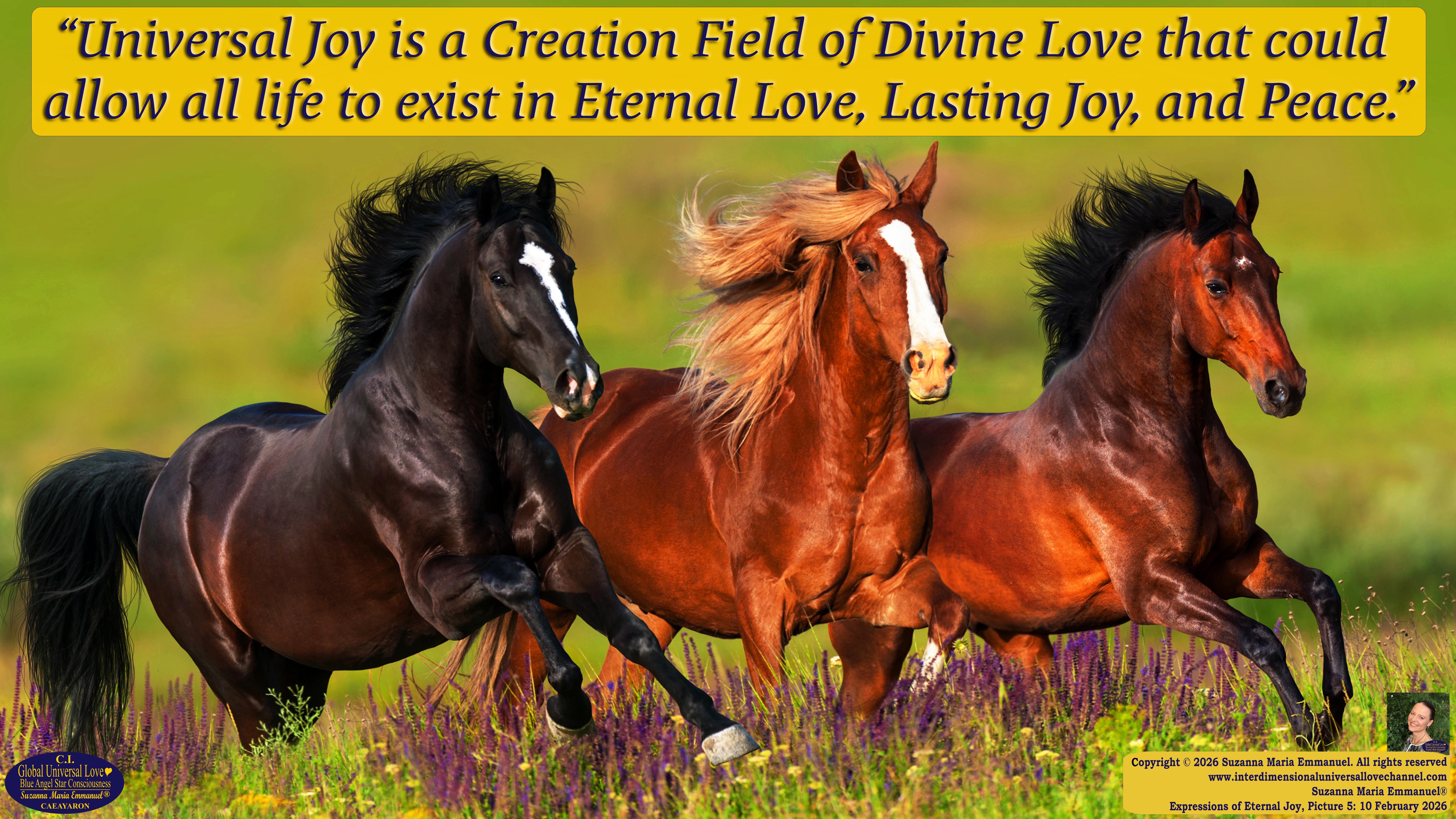 By Suzanna Maria Emmanuel:  "When all Original Sovereign Golden Sun People worked together within The Original Love of The Great Universe, in Divine Love, they all wanted life to begin so much from their own and Original Golden Soul-Sun Activated Hearts, in The Original Golden Soul-Sun Consciousness Dimensions of Love, together as One Field of Energy.  When The Original Sovereign Universal Love, Light and Life Grid Programmer, C.Q. Laeayaraesea, knew all their Greatest Golden Heart Desires from their Original Hearts for Life to exist on their Original Blue Star Planets, in The Love, that is when she could begin to ask CAEAYARON, THE ORIGINAL SOVEREIGN MAGNETIC MASTER, to designate Magnetic Fields for all the Original People to exist in The Love, on The Original Blue Star Planets, within all their Original Golden Soul-Sun Pineal Activated Desires of Love, Life, and their Highest Truth to come in, forever." 