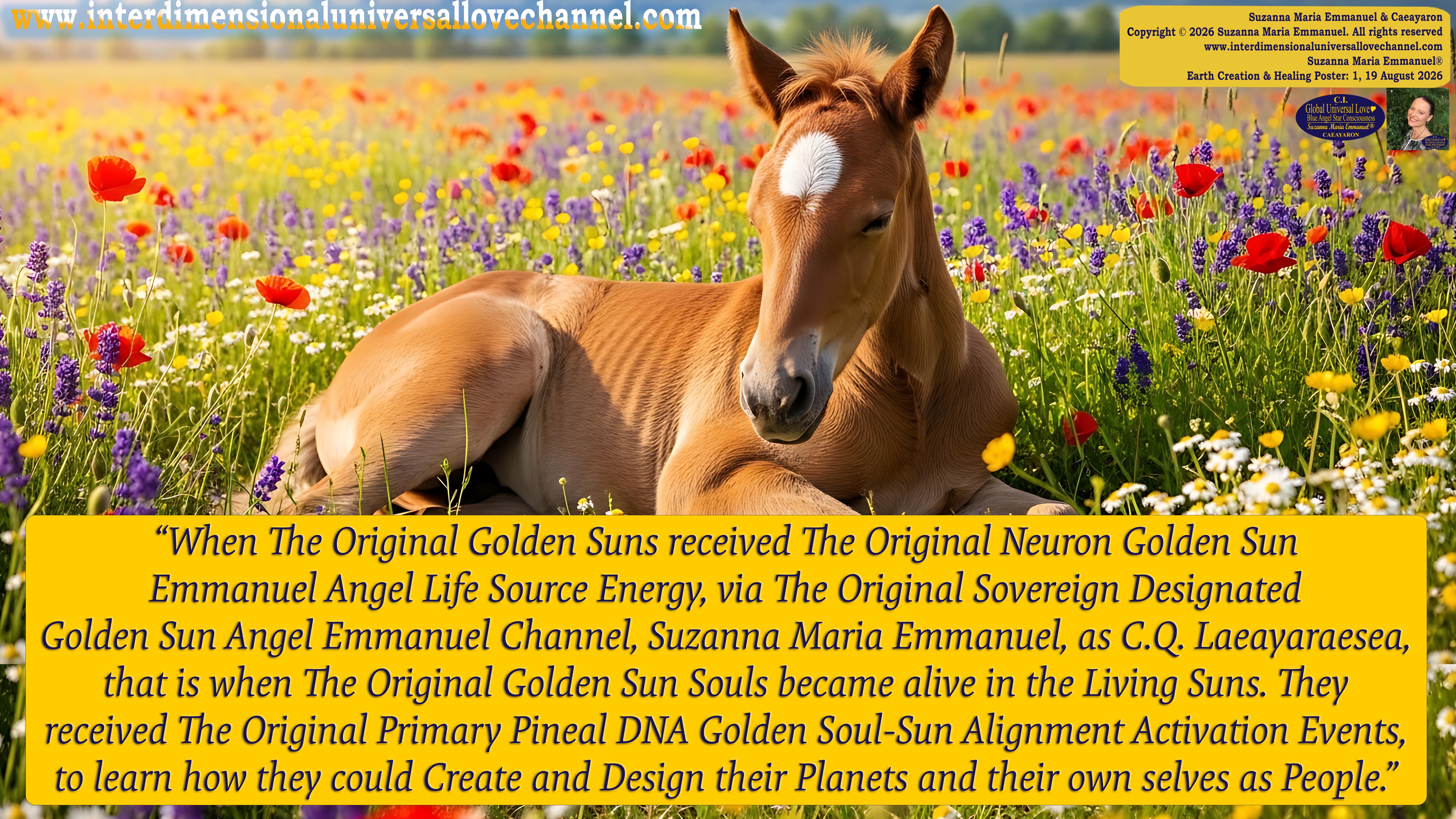 Universal Love Expressions of Divine  Wisdom