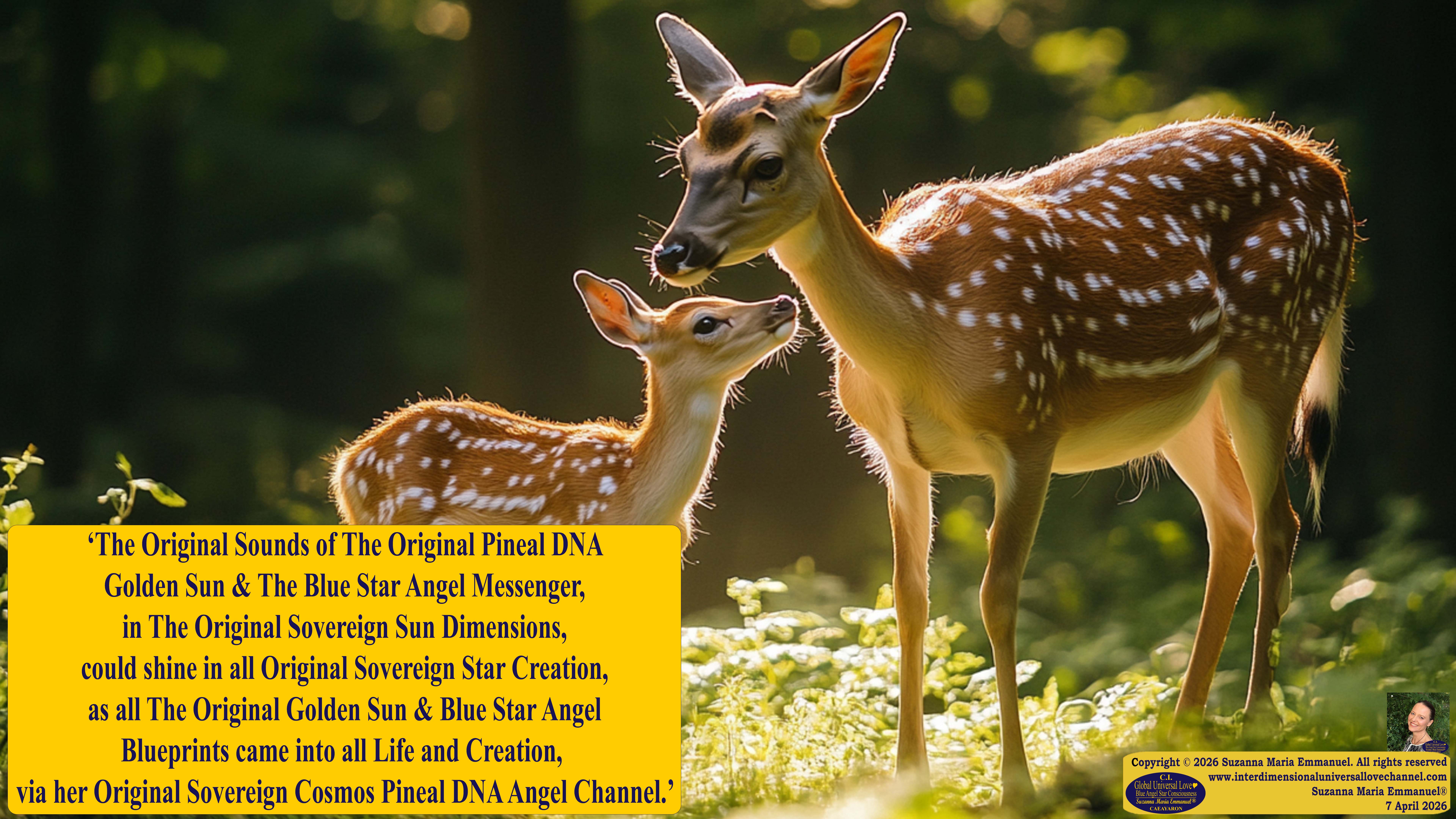 By Suzanna Maria Emmanuel:  "When all Original Sovereign Golden Sun People worked together within The Original Love of The Great Universe, in Divine Love, they all wanted life to begin so much from their own and Original Golden Soul-Sun Activated Hearts, in The Original Golden Soul-Sun Consciousness Dimensions of Love, together as One Field of Energy.  When The Original Sovereign Universal Love, Light and Life Grid Programmer, C.Q. Laeayaraesea, knew all their Greatest Golden Heart Desires from their Original Hearts for Life to exist on their Original Blue Star Planets, in The Love, that is when she could begin to ask CAEAYARON, THE ORIGINAL SOVEREIGN MAGNETIC MASTER, to designate Magnetic Fields for all the Original People to exist in The Love, on The Original Blue Star Planets, within all their Original Golden Soul-Sun Pineal Activated Desires of Love, Life, and their Highest Truth to come in, forever." 