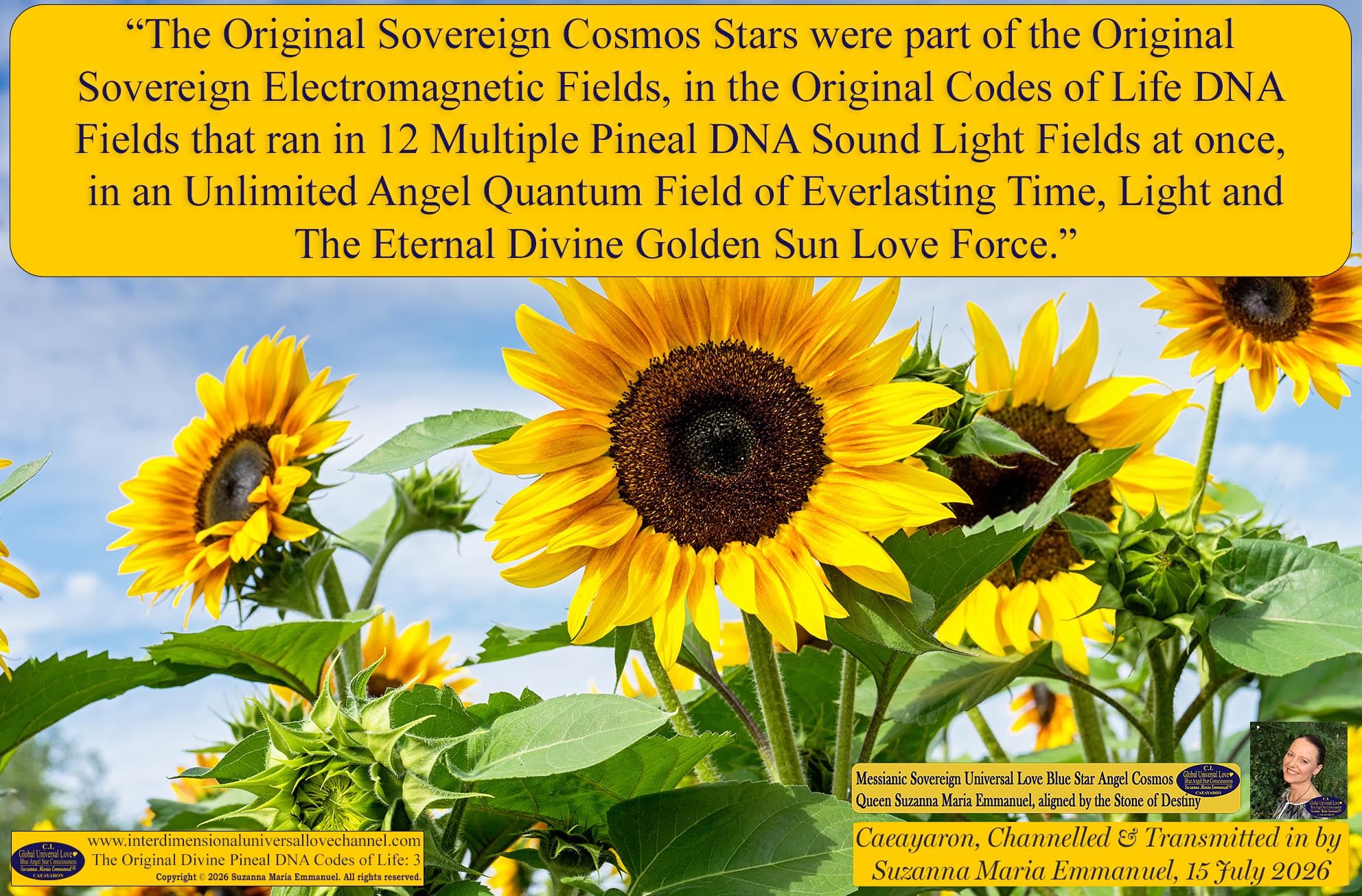 Universal Love Expressions of Divine  Wisdom