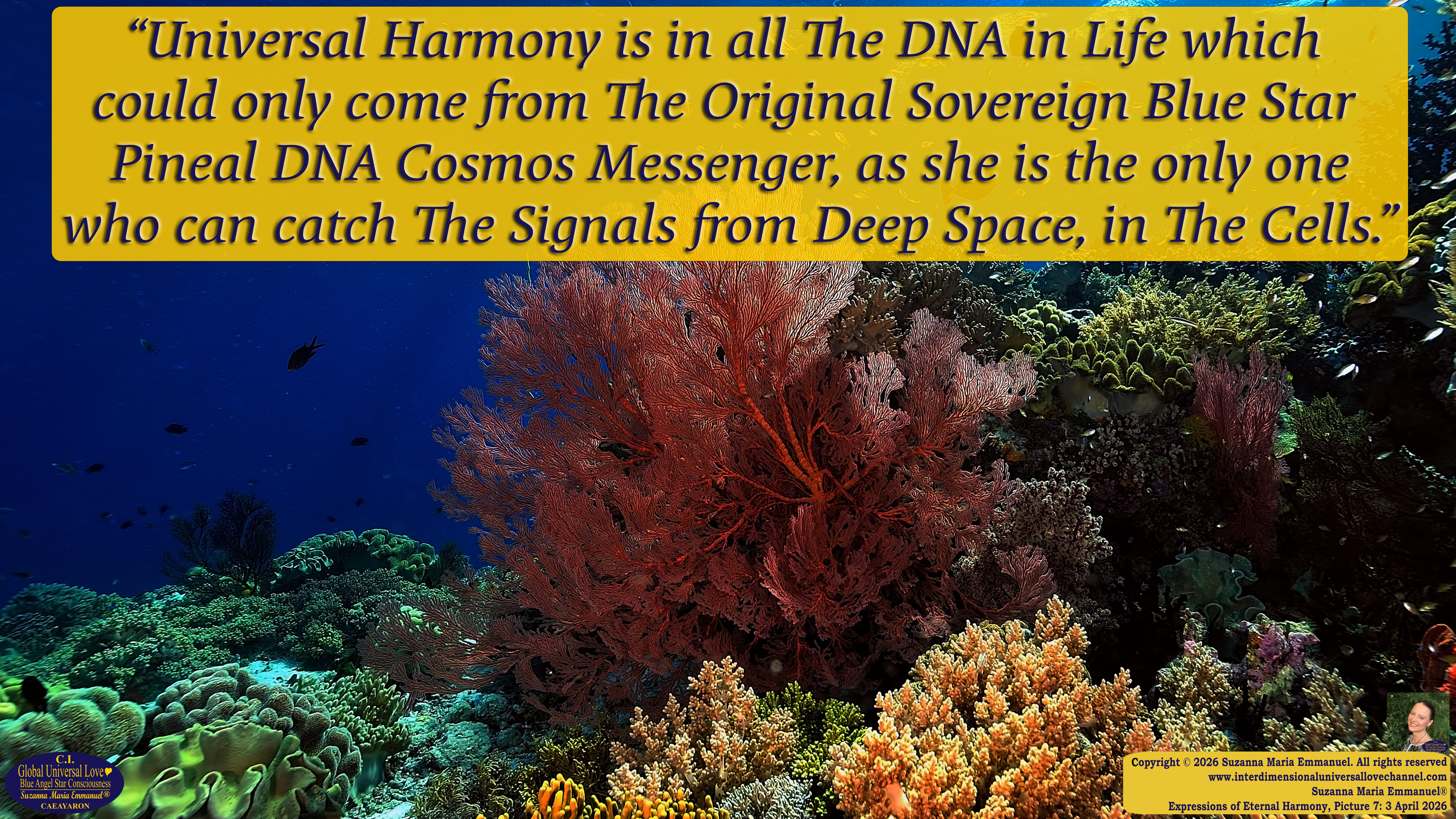 By Suzanna Maria Emmanuel:  "When all Original Sovereign Golden Sun People worked together within The Original Love of The Great Universe, in Divine Love, they all wanted life to begin so much from their own and Original Golden Soul-Sun Activated Hearts, in The Original Golden Soul-Sun Consciousness Dimensions of Love, together as One Field of Energy.  When The Original Sovereign Universal Love, Light and Life Grid Programmer, C.Q. Laeayaraesea, knew all their Greatest Golden Heart Desires from their Original Hearts for Life to exist on their Original Blue Star Planets, in The Love, that is when she could begin to ask CAEAYARON, THE ORIGINAL SOVEREIGN MAGNETIC MASTER, to designate Magnetic Fields for all the Original People to exist in The Love, on The Original Blue Star Planets, within all their Original Golden Soul-Sun Pineal Activated Desires of Love, Life, and their Highest Truth to come in, forever." 