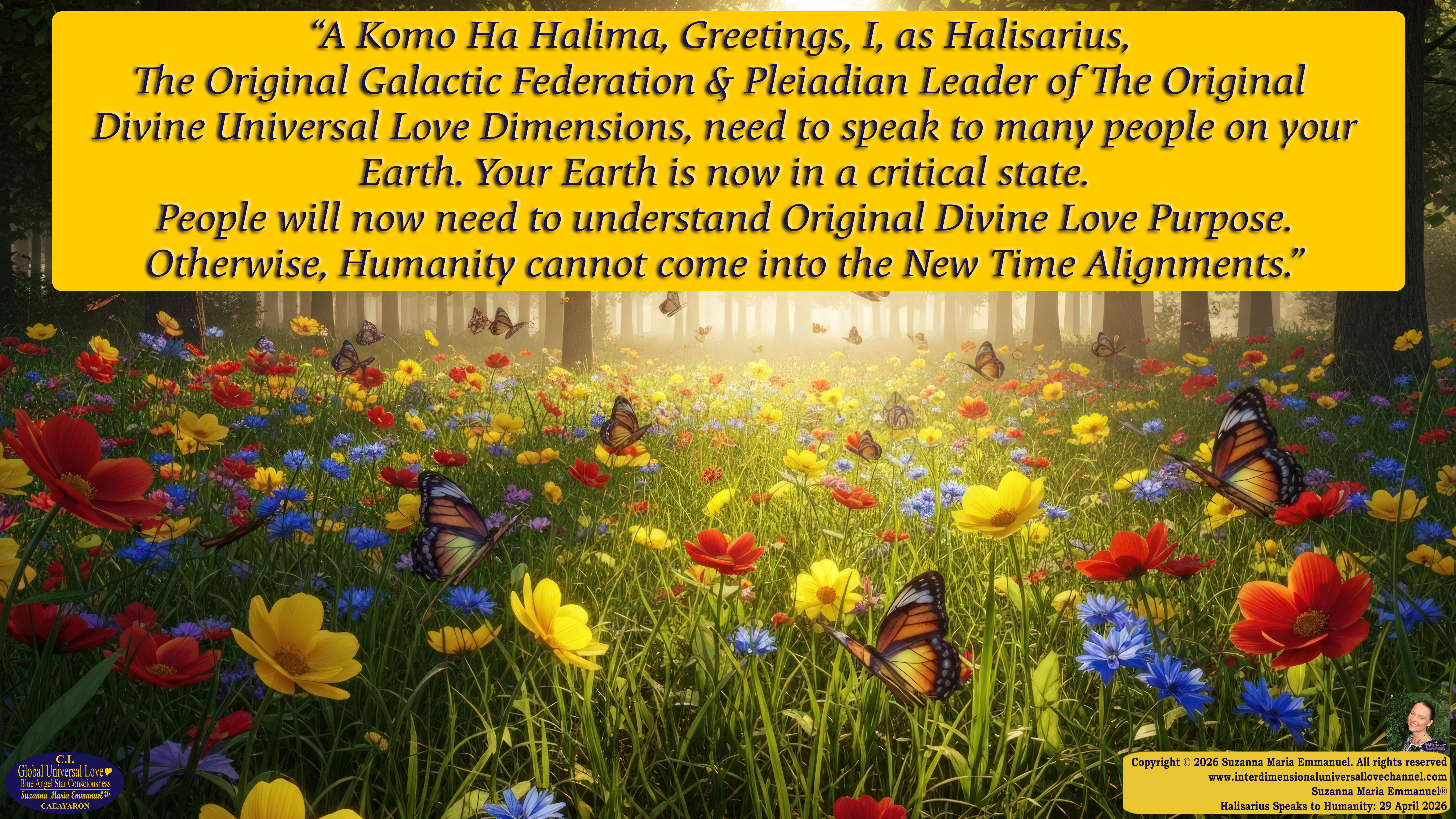 Universal Love Expressions of Divine  Wisdom