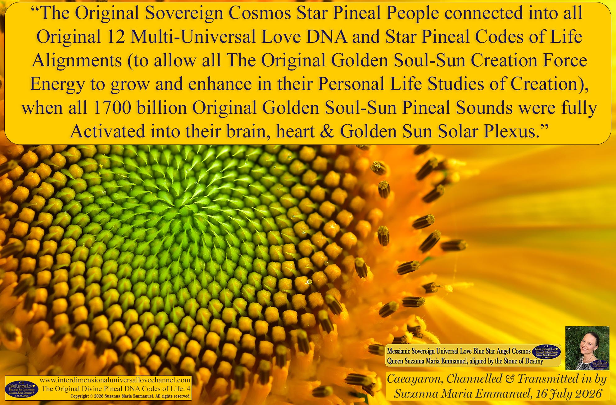 Universal Love Expressions of Divine  Wisdom