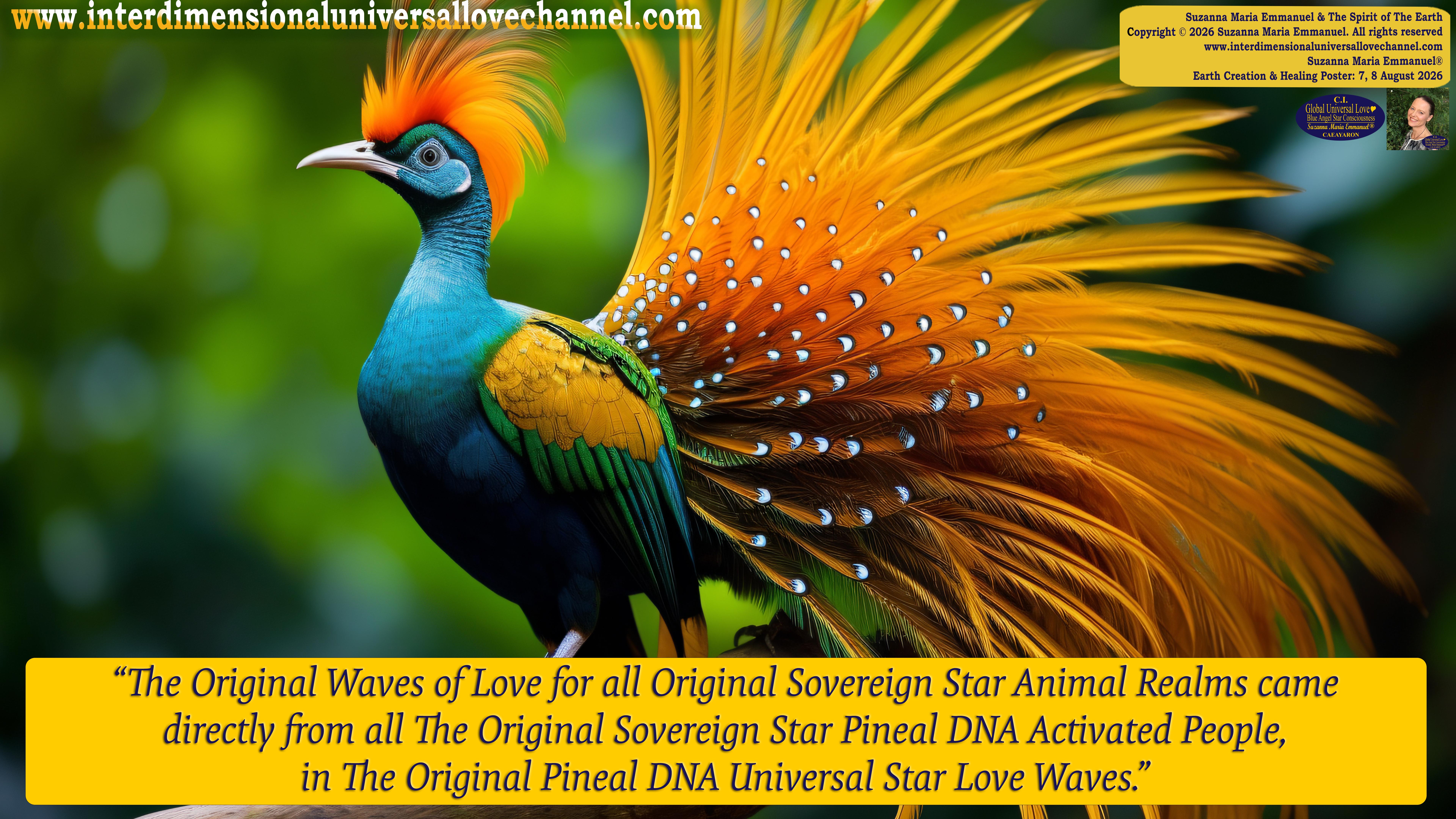 Universal Love Expressions of Divine  Wisdom