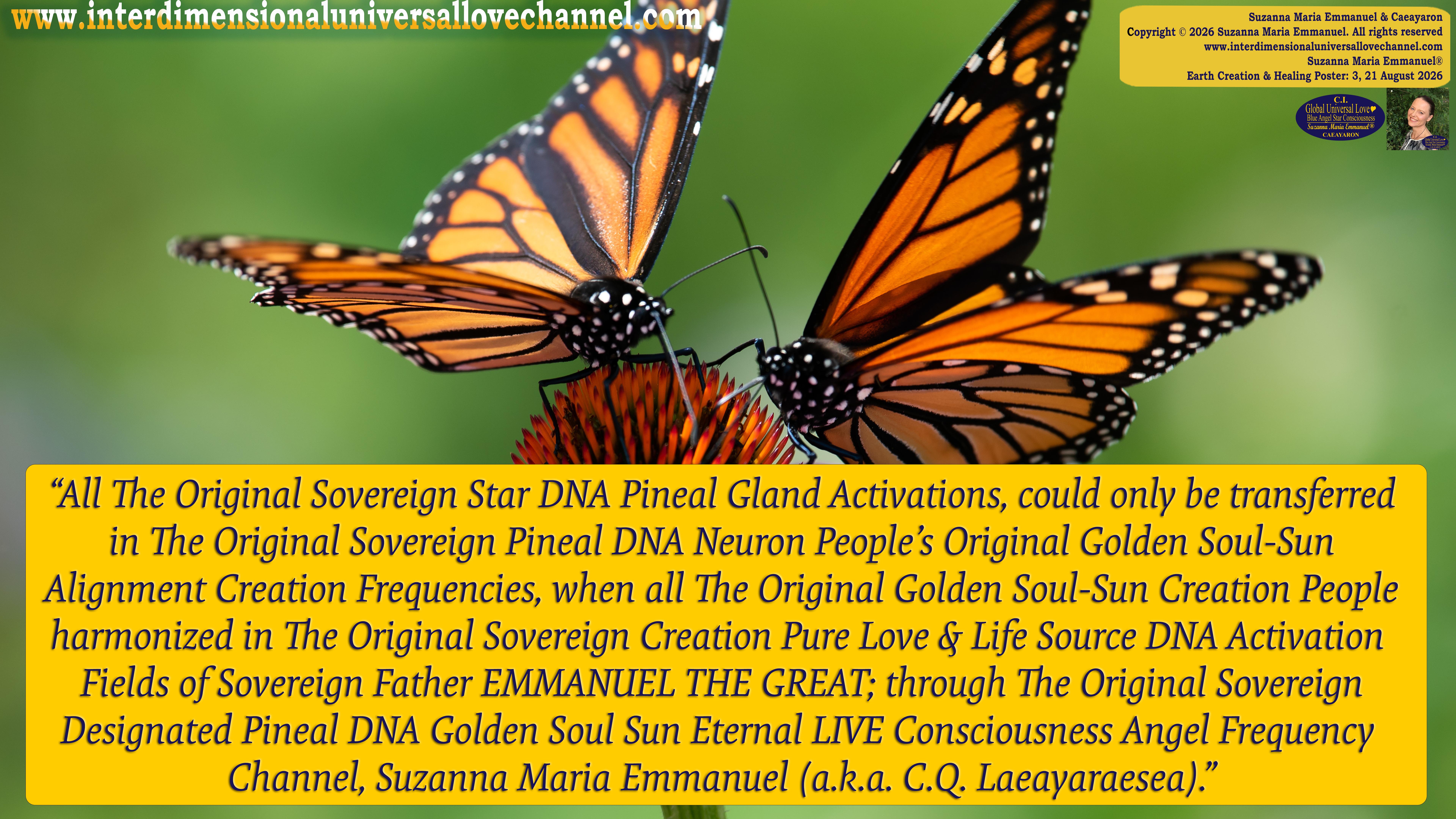 Universal Love Expressions of Divine  Wisdom