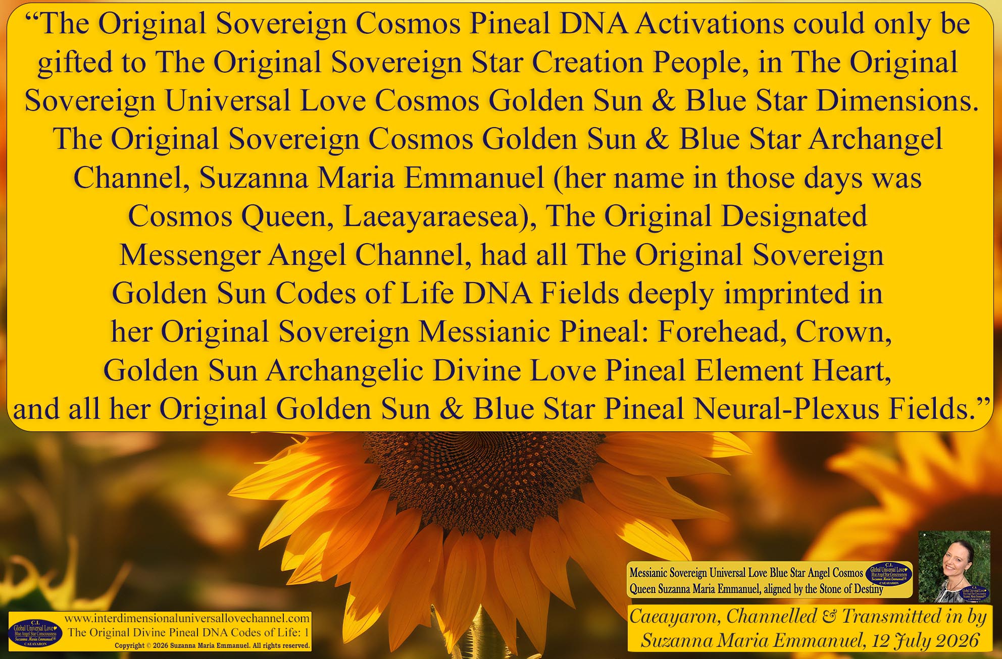 Universal Love Expressions of Divine  Wisdom