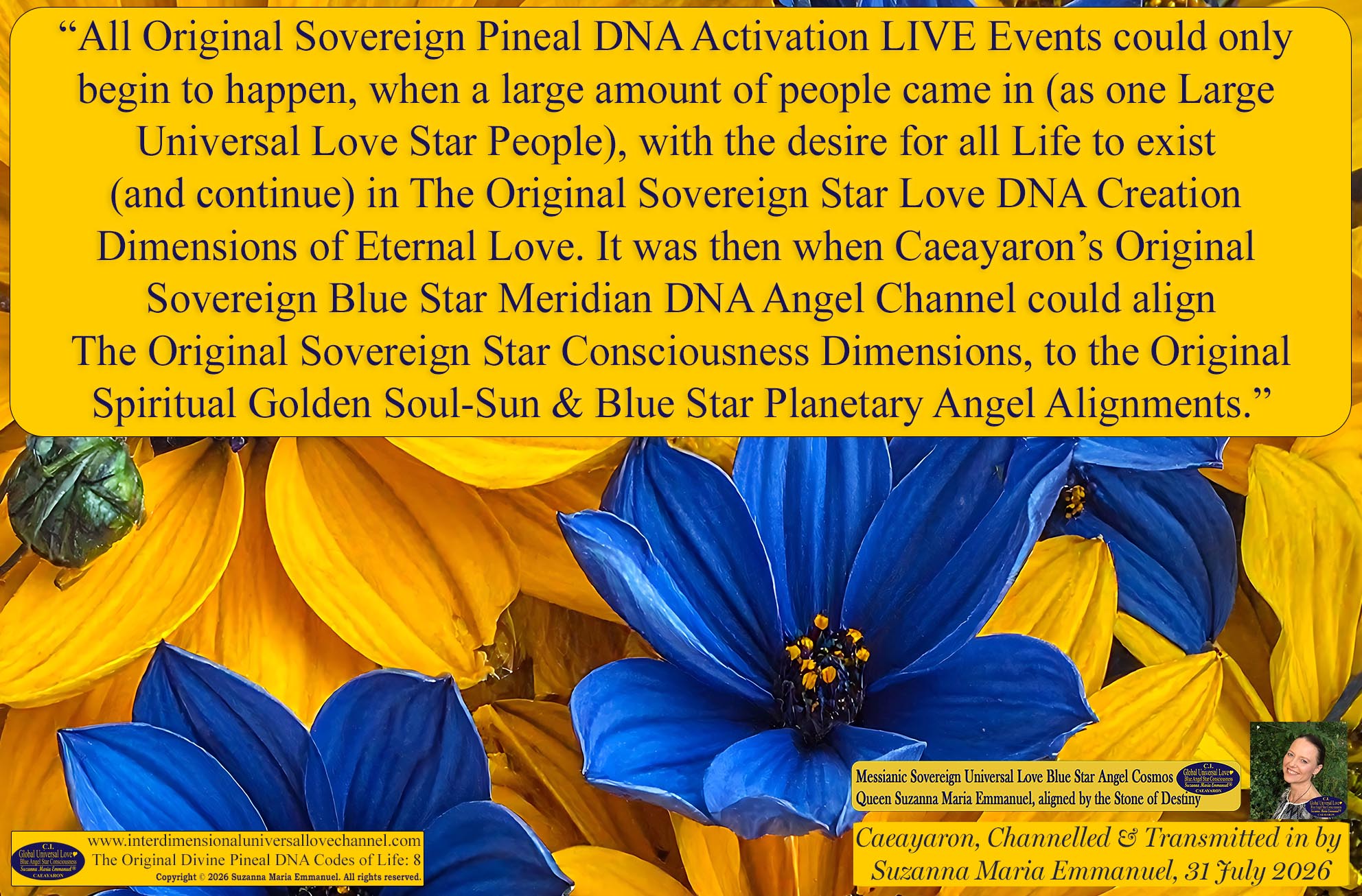 Universal Love Expressions of Divine  Wisdom