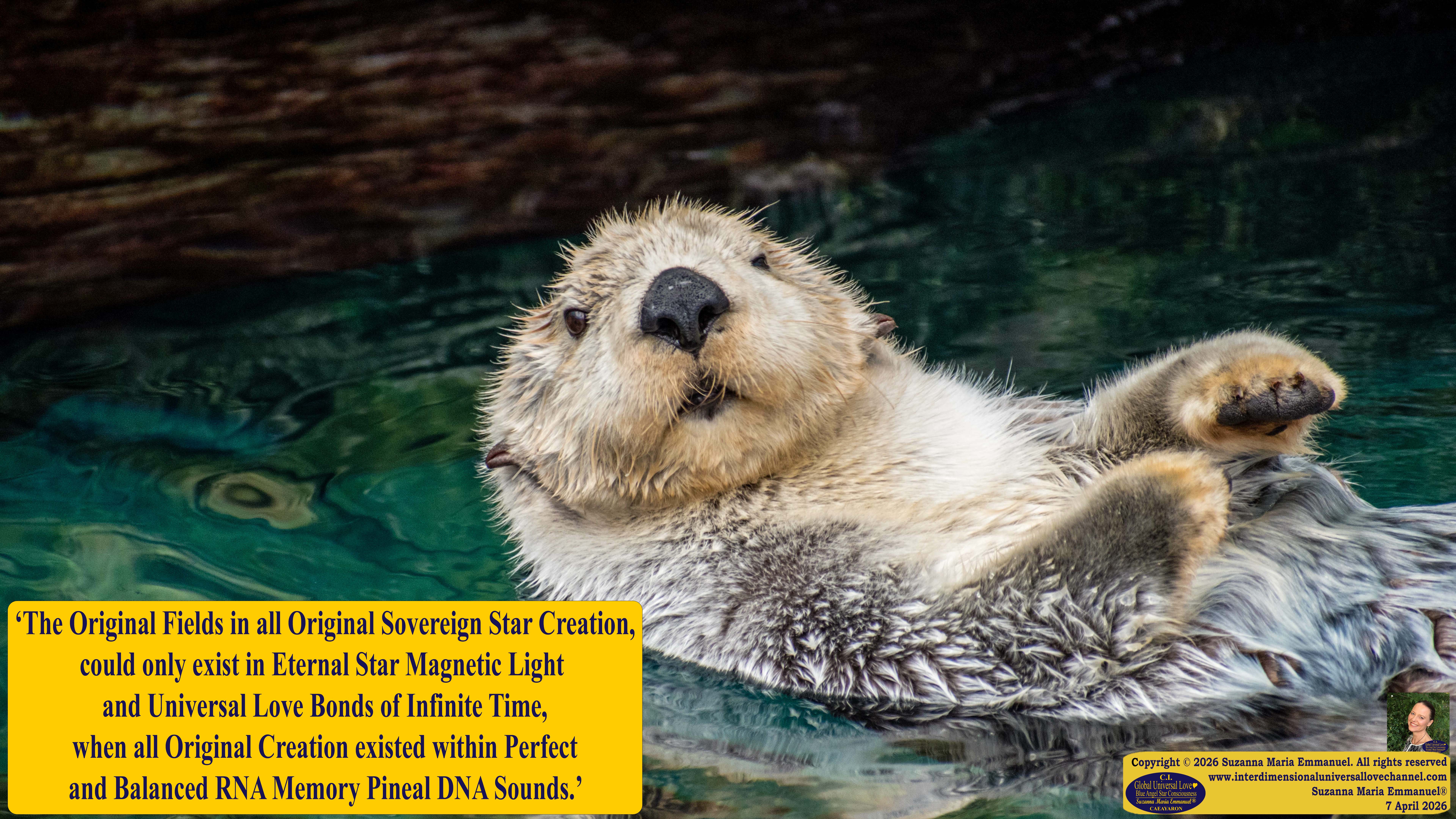 By Suzanna Maria Emmanuel:  "When all Original Sovereign Golden Sun People worked together within The Original Love of The Great Universe, in Divine Love, they all wanted life to begin so much from their own and Original Golden Soul-Sun Activated Hearts, in The Original Golden Soul-Sun Consciousness Dimensions of Love, together as One Field of Energy.  When The Original Sovereign Universal Love, Light and Life Grid Programmer, C.Q. Laeayaraesea, knew all their Greatest Golden Heart Desires from their Original Hearts for Life to exist on their Original Blue Star Planets, in The Love, that is when she could begin to ask CAEAYARON, THE ORIGINAL SOVEREIGN MAGNETIC MASTER, to designate Magnetic Fields for all the Original People to exist in The Love, on The Original Blue Star Planets, within all their Original Golden Soul-Sun Pineal Activated Desires of Love, Life, and their Highest Truth to come in, forever." 