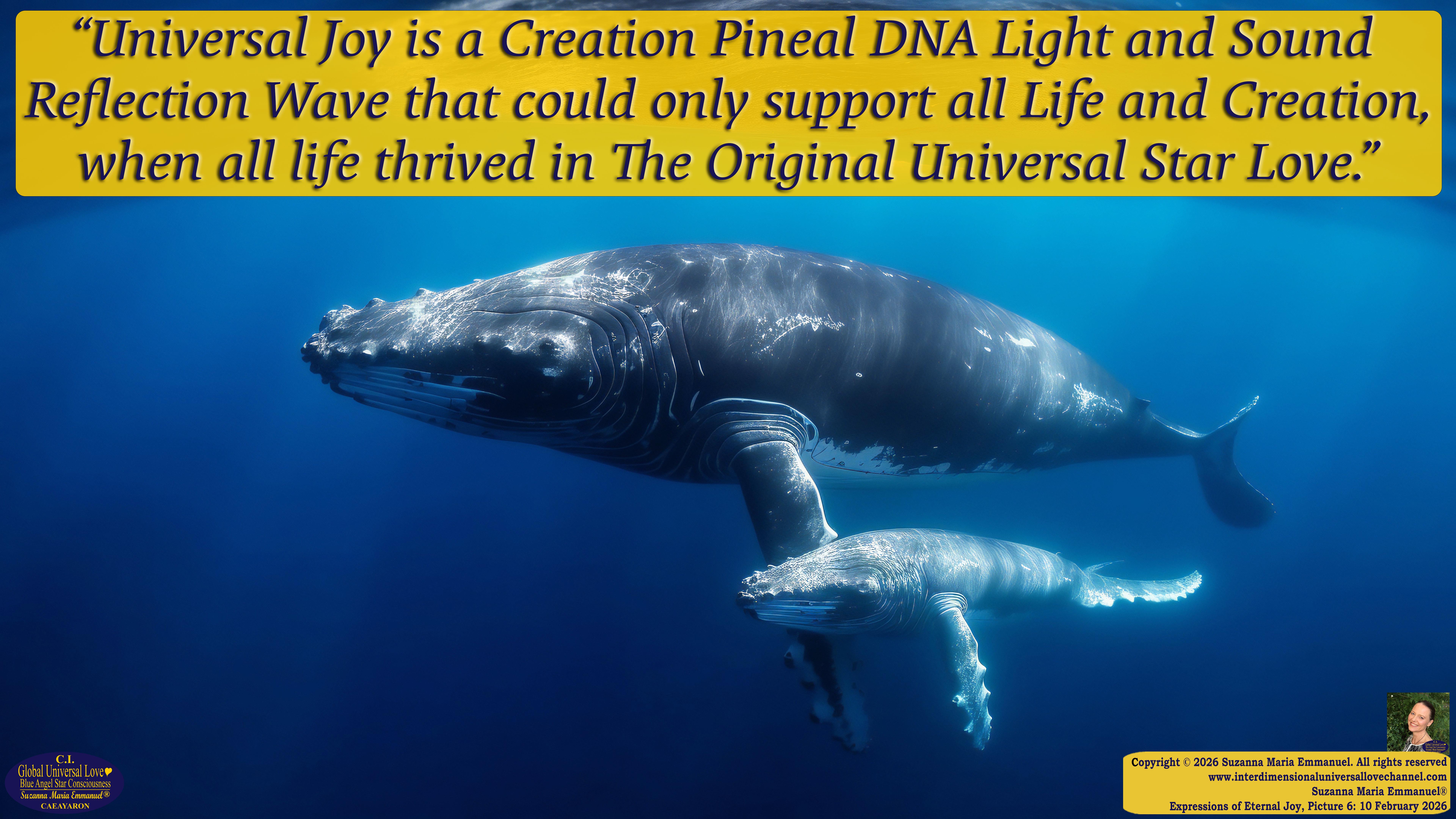 By Suzanna Maria Emmanuel:  "When all Original Sovereign Golden Sun People worked together within The Original Love of The Great Universe, in Divine Love, they all wanted life to begin so much from their own and Original Golden Soul-Sun Activated Hearts, in The Original Golden Soul-Sun Consciousness Dimensions of Love, together as One Field of Energy.  When The Original Sovereign Universal Love, Light and Life Grid Programmer, C.Q. Laeayaraesea, knew all their Greatest Golden Heart Desires from their Original Hearts for Life to exist on their Original Blue Star Planets, in The Love, that is when she could begin to ask CAEAYARON, THE ORIGINAL SOVEREIGN MAGNETIC MASTER, to designate Magnetic Fields for all the Original People to exist in The Love, on The Original Blue Star Planets, within all their Original Golden Soul-Sun Pineal Activated Desires of Love, Life, and their Highest Truth to come in, forever." 