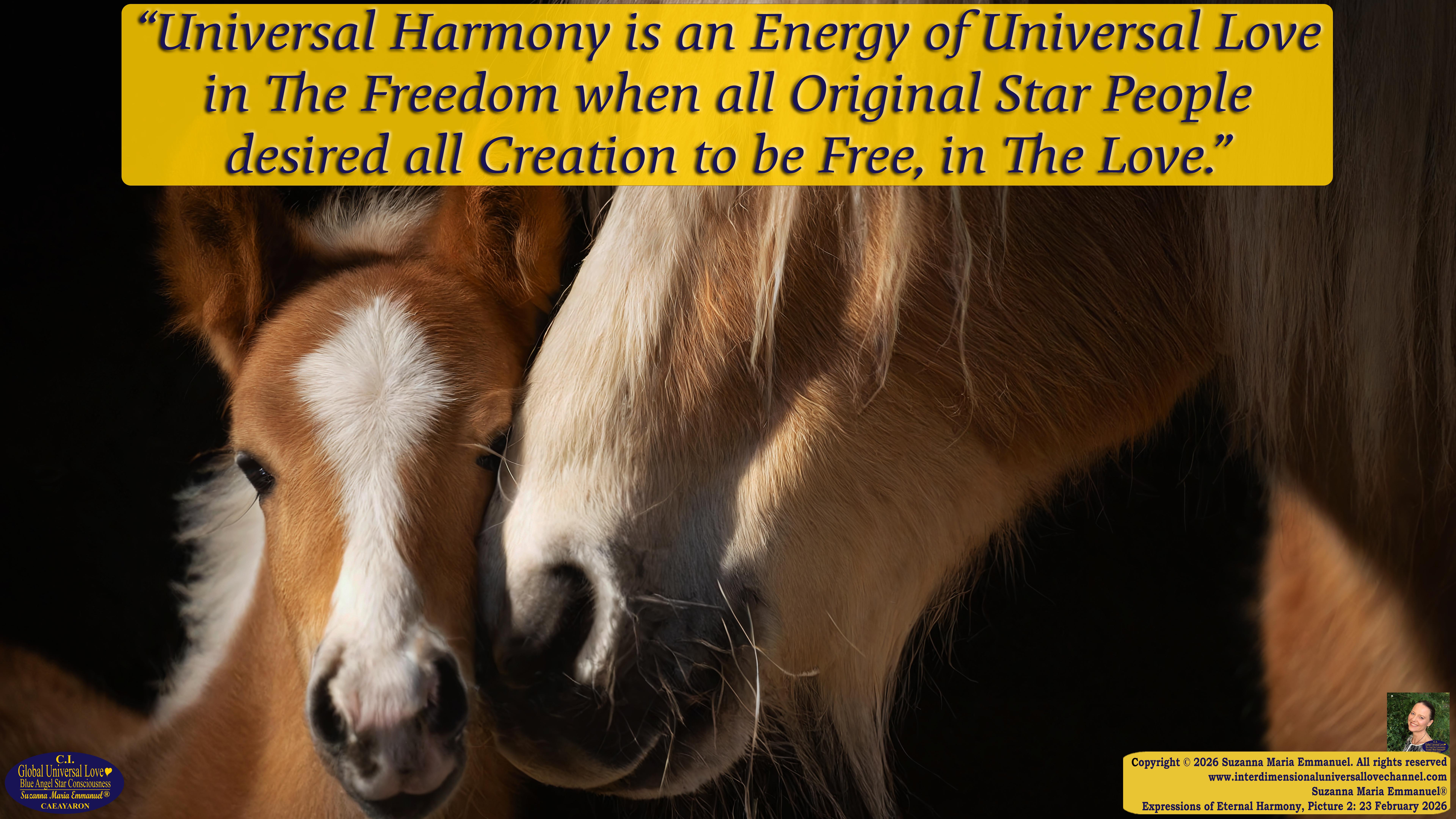 By Suzanna Maria Emmanuel:  "When all Original Sovereign Golden Sun People worked together within The Original Love of The Great Universe, in Divine Love, they all wanted life to begin so much from their own and Original Golden Soul-Sun Activated Hearts, in The Original Golden Soul-Sun Consciousness Dimensions of Love, together as One Field of Energy.  When The Original Sovereign Universal Love, Light and Life Grid Programmer, C.Q. Laeayaraesea, knew all their Greatest Golden Heart Desires from their Original Hearts for Life to exist on their Original Blue Star Planets, in The Love, that is when she could begin to ask CAEAYARON, THE ORIGINAL SOVEREIGN MAGNETIC MASTER, to designate Magnetic Fields for all the Original People to exist in The Love, on The Original Blue Star Planets, within all their Original Golden Soul-Sun Pineal Activated Desires of Love, Life, and their Highest Truth to come in, forever." 