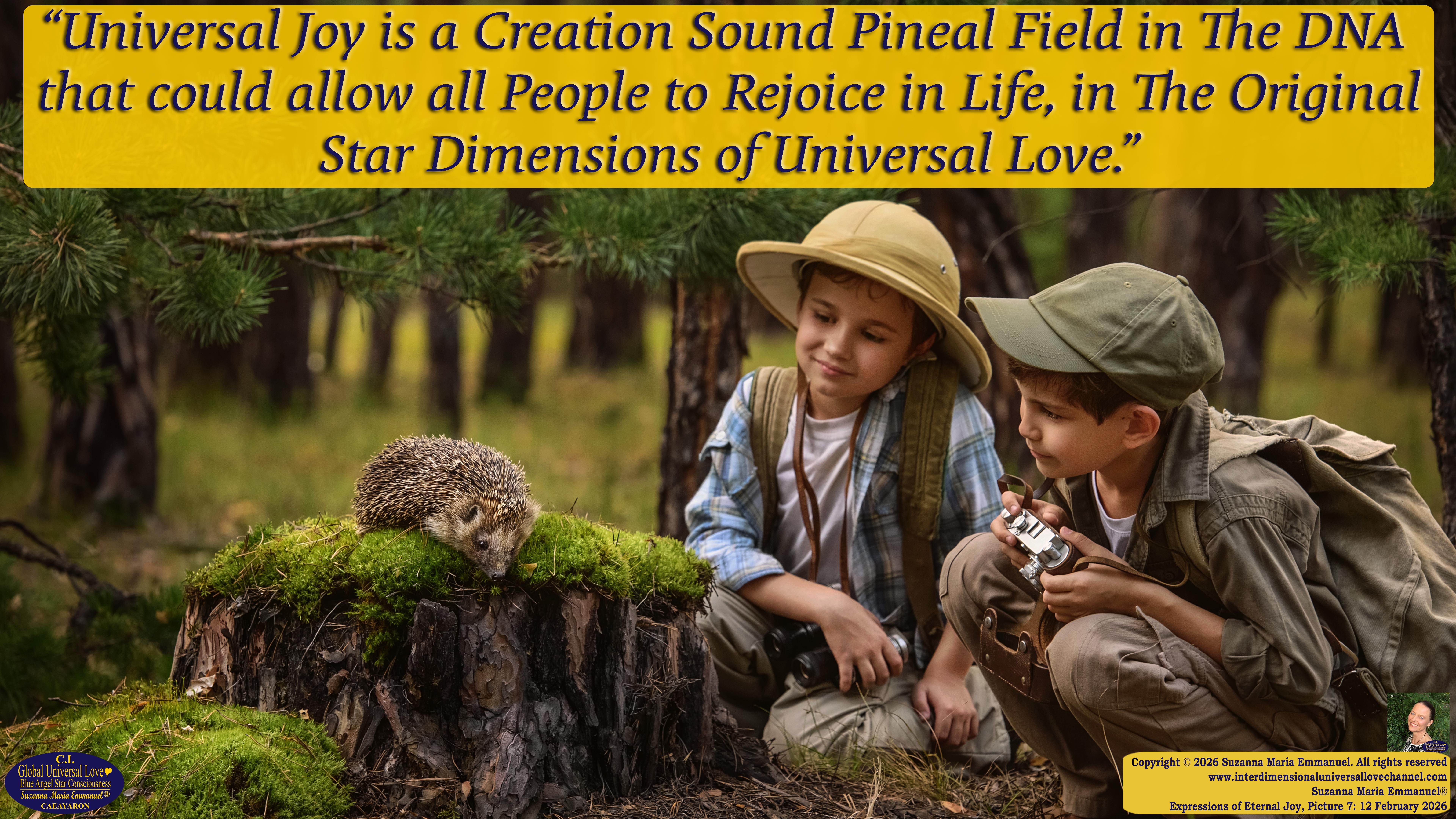 By Suzanna Maria Emmanuel:  "When all Original Sovereign Golden Sun People worked together within The Original Love of The Great Universe, in Divine Love, they all wanted life to begin so much from their own and Original Golden Soul-Sun Activated Hearts, in The Original Golden Soul-Sun Consciousness Dimensions of Love, together as One Field of Energy.  When The Original Sovereign Universal Love, Light and Life Grid Programmer, C.Q. Laeayaraesea, knew all their Greatest Golden Heart Desires from their Original Hearts for Life to exist on their Original Blue Star Planets, in The Love, that is when she could begin to ask CAEAYARON, THE ORIGINAL SOVEREIGN MAGNETIC MASTER, to designate Magnetic Fields for all the Original People to exist in The Love, on The Original Blue Star Planets, within all their Original Golden Soul-Sun Pineal Activated Desires of Love, Life, and their Highest Truth to come in, forever." 